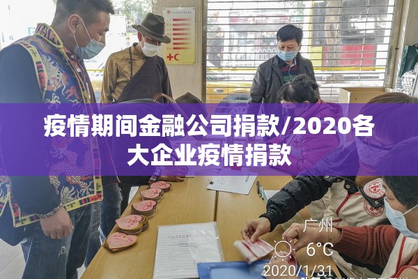 疫情期间金融公司捐款/2020各大企业疫情捐款