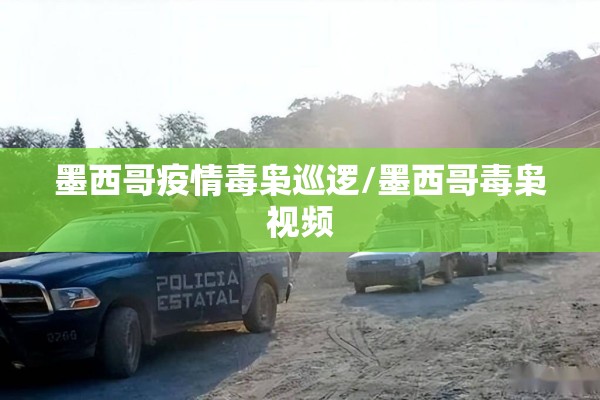 墨西哥疫情毒枭巡逻/墨西哥毒枭视频