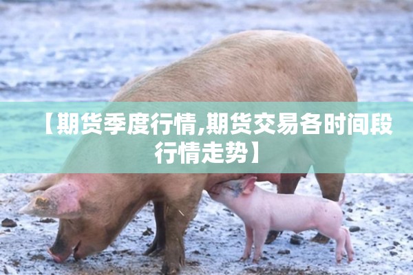 【期货季度行情,期货交易各时间段行情走势】