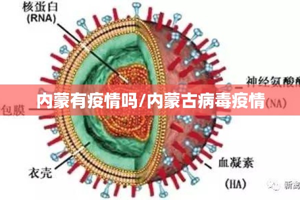 内蒙有疫情吗/内蒙古病毒疫情
