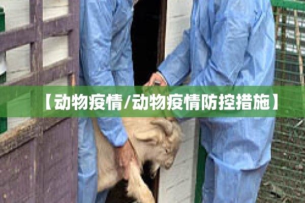 【动物疫情/动物疫情防控措施】
