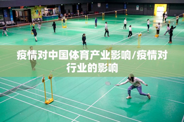 疫情对中国体育产业影响/疫情对行业的影响