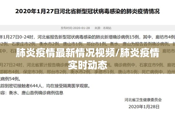 肺炎疫情最新情况视频/肺炎疫情实时动态