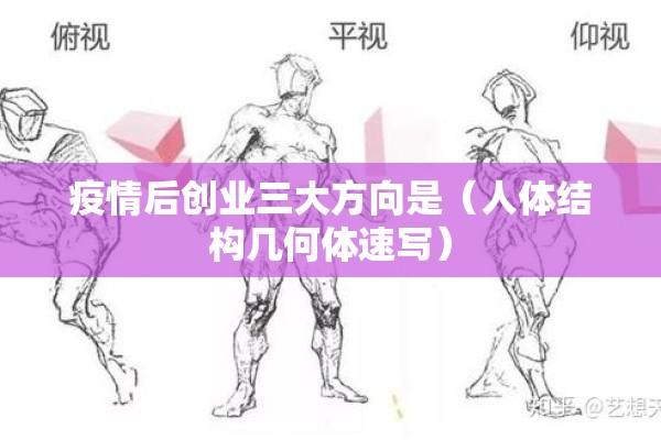 疫情后创业三大方向是（人体结构几何体速写）