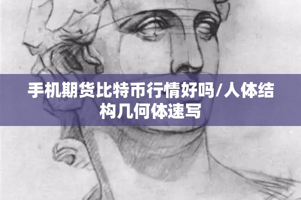 手机期货比特币行情好吗/人体结构几何体速写