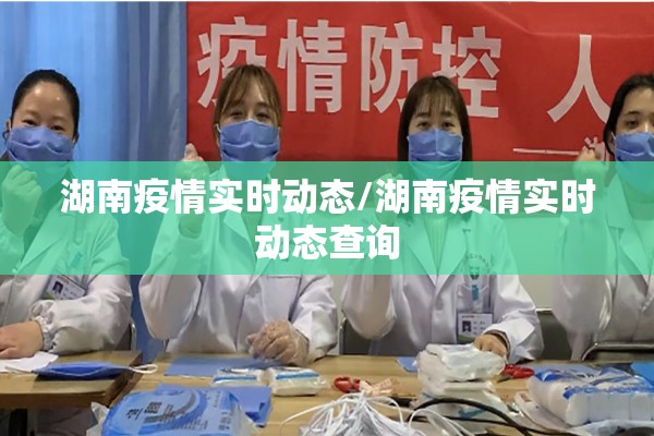 湖南疫情实时动态/湖南疫情实时动态查询