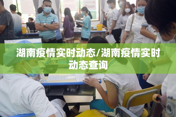 湖南疫情实时动态/湖南疫情实时动态查询