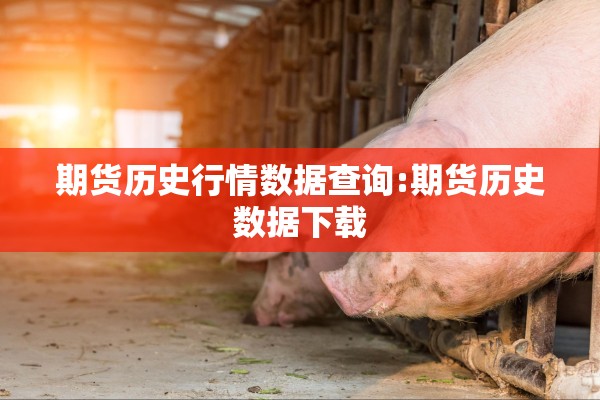 期货历史行情数据查询:期货历史数据下载