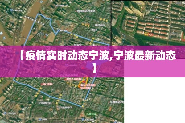 【疫情实时动态宁波,宁波最新动态】
