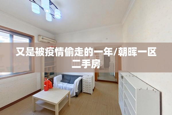 又是被疫情偷走的一年/朝晖一区二手房