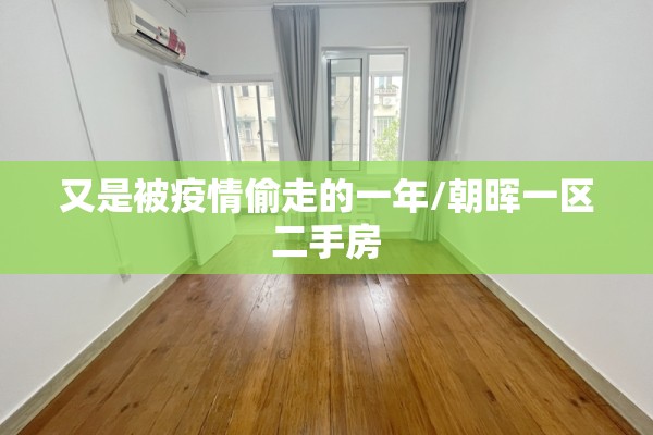 又是被疫情偷走的一年/朝晖一区二手房