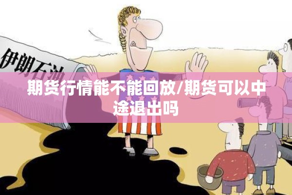 期货行情能不能回放/期货可以中途退出吗