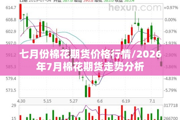 七月份棉花期货价格行情/2026年7月棉花期货走势分析
