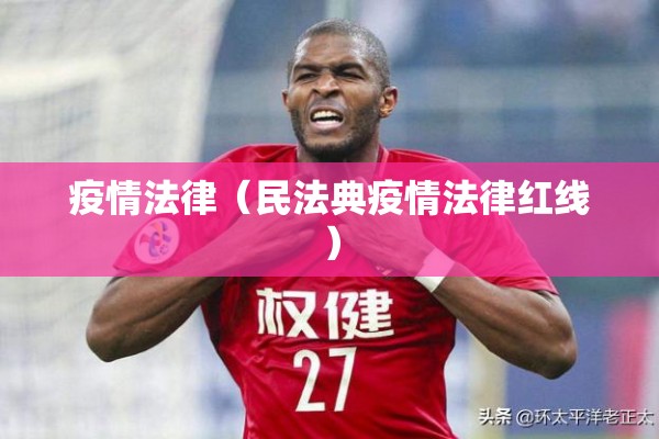 疫情法律（民法典疫情法律红线）