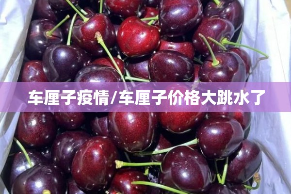 车厘子疫情/车厘子价格大跳水了