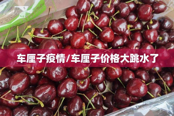 车厘子疫情/车厘子价格大跳水了