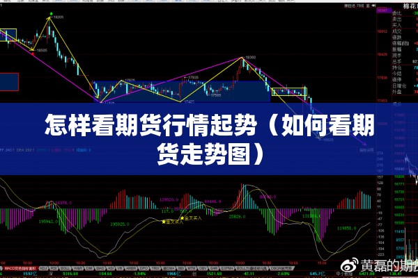 怎样看期货行情起势（如何看期货走势图）