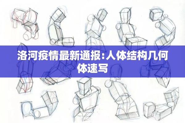 洛河疫情最新通报:人体结构几何体速写