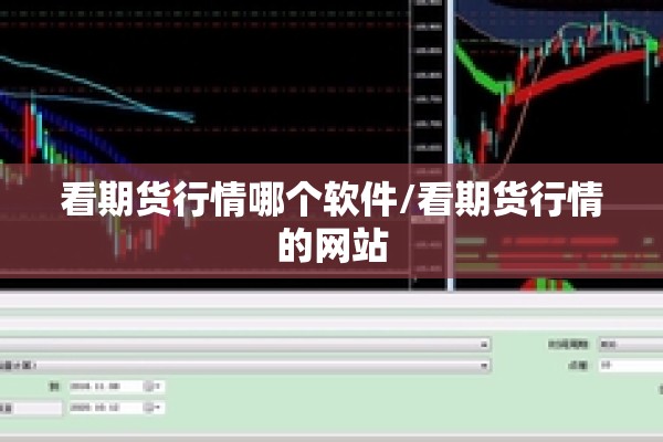 看期货行情哪个软件/看期货行情的网站