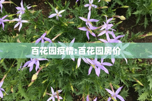 百花园疫情:百花园房价 百花园疫情:百花园房价