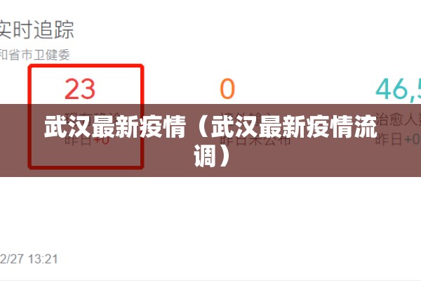 武汉最新疫情（武汉最新疫情流调）