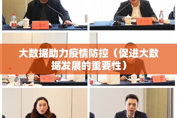 大数据助力疫情防控（促进大数据发展的重要性）