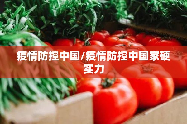 疫情防控中国/疫情防控中国家硬实力