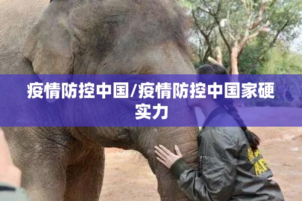 疫情防控中国/疫情防控中国家硬实力