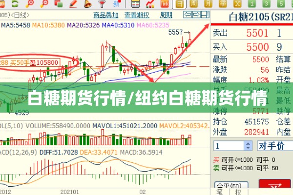 白糖期货行情/纽约白糖期货行情
