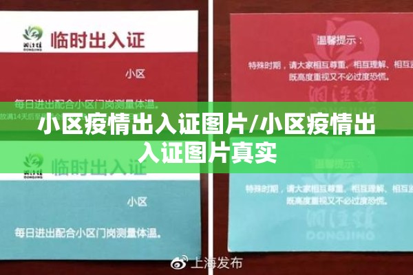 小区疫情出入证图片/小区疫情出入证图片真实