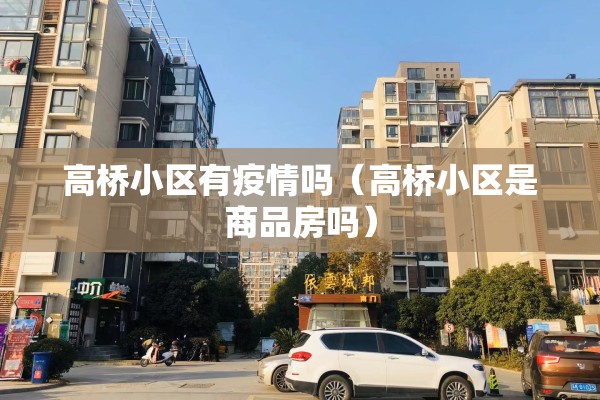 高桥小区有疫情吗（高桥小区是商品房吗）