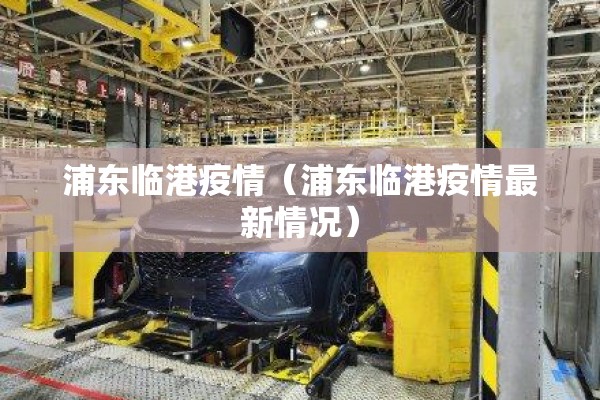 浦东临港疫情（浦东临港疫情最新情况）