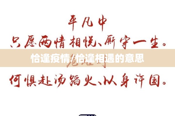 恰逢疫情/恰逢相遇的意思