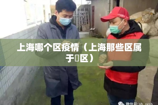 上海哪个区疫情（上海那些区属于巿区）
