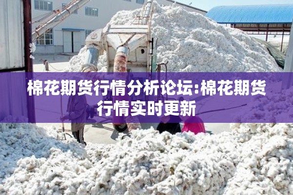 棉花期货行情分析论坛:棉花期货行情实时更新