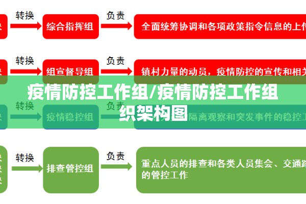 疫情防控工作组/疫情防控工作组织架构图