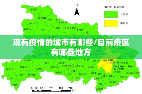 现有疫情的城市有哪些/目前疫区有哪些地方 现有疫情的城市有哪些/目前疫区有哪些地方
