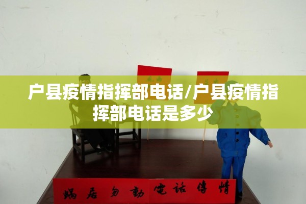 户县疫情指挥部电话/户县疫情指挥部电话是多少