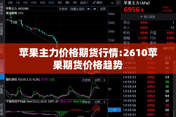 苹果主力价格期货行情:2610苹果期货价格趋势