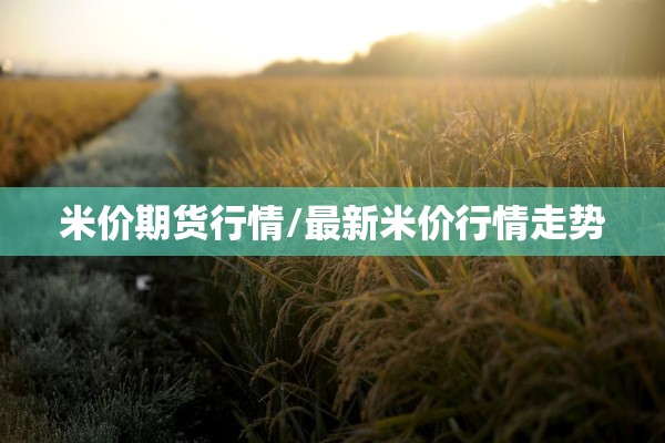 米价期货行情/最新米价行情走势
