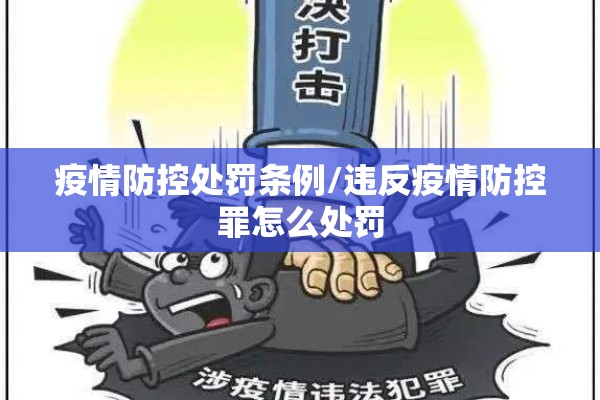 疫情防控处罚条例/违反疫情防控罪怎么处罚