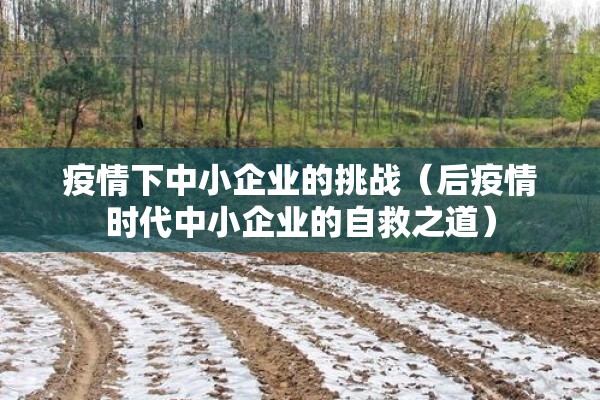 疫情下中小企业的挑战（后疫情时代中小企业的自救之道）