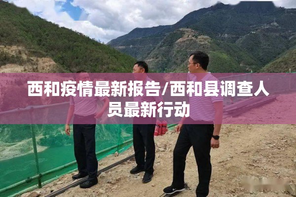西和疫情最新报告/西和县调查人员最新行动 西和疫情最新报告/西和县调查人员最新行动
