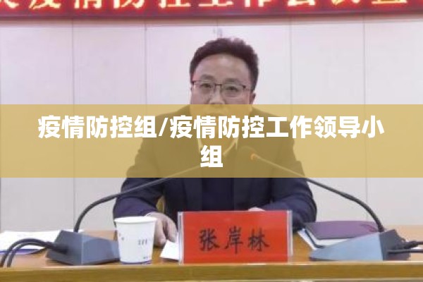 疫情防控组/疫情防控工作领导小组