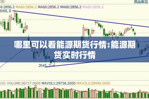 哪里可以看能源期货行情:能源期货实时行情 哪里可以看能源期货行情:能源期货实时行情