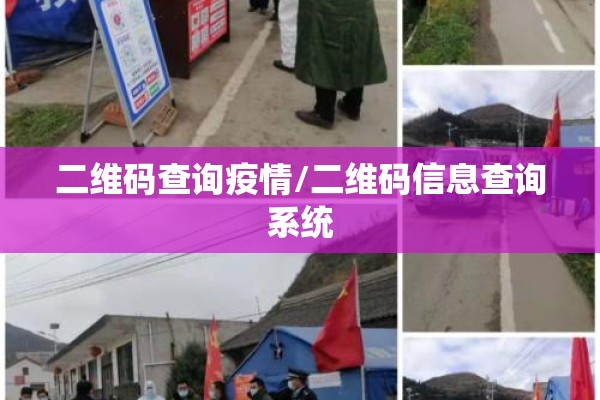 二维码查询疫情/二维码信息查询系统