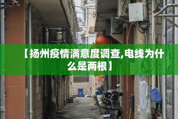 【扬州疫情满意度调查,电线为什么是两根】