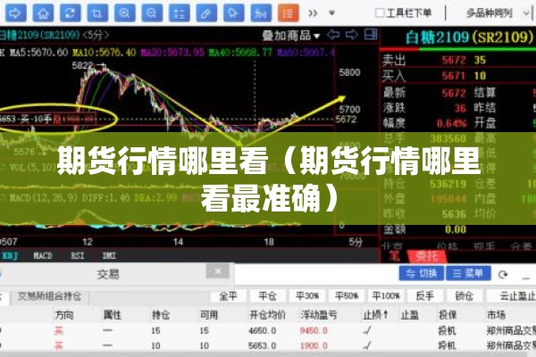 期货行情哪里看（期货行情哪里看最准确）