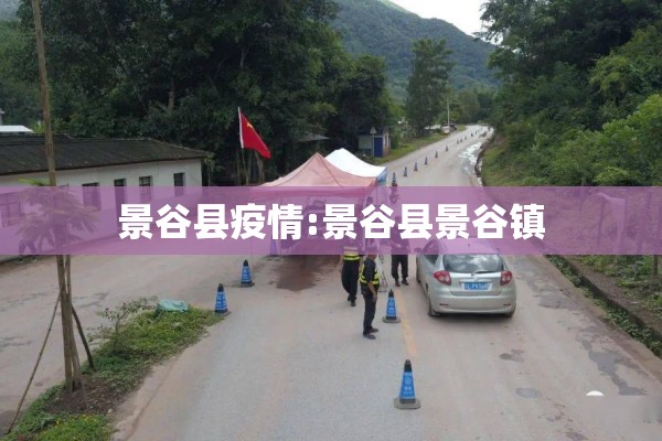 景谷县疫情:景谷县景谷镇