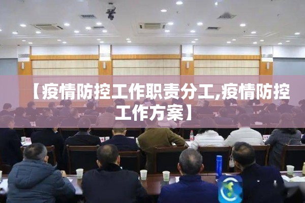 【疫情防控工作职责分工,疫情防控工作方案】